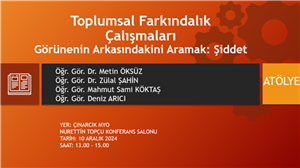 Toplumsal Farkındalık  Çalışmaları- Görünenin Arkasındakini Aramak: Şiddet